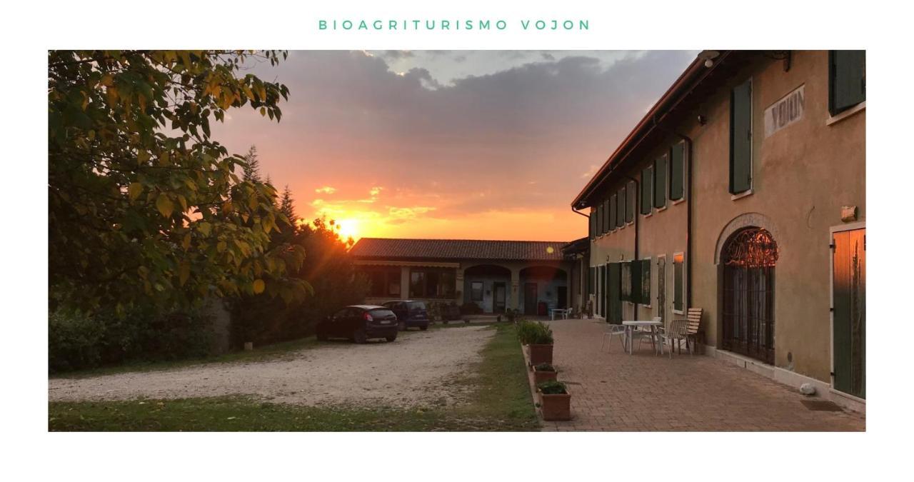 Bio Agriturismo Vojon Villa Ponti sul Mincio Exterior photo